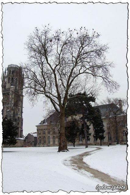 Jardin de l'hotel de ville et de la Cathédrale St Etienne de Toul