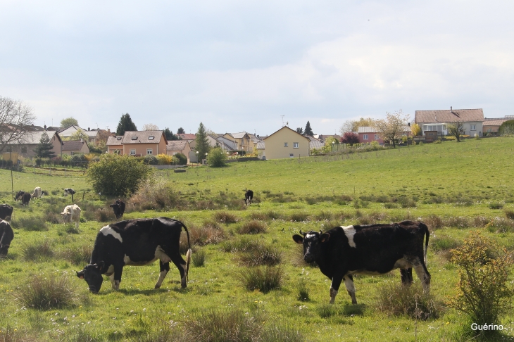 Vue de Trieux