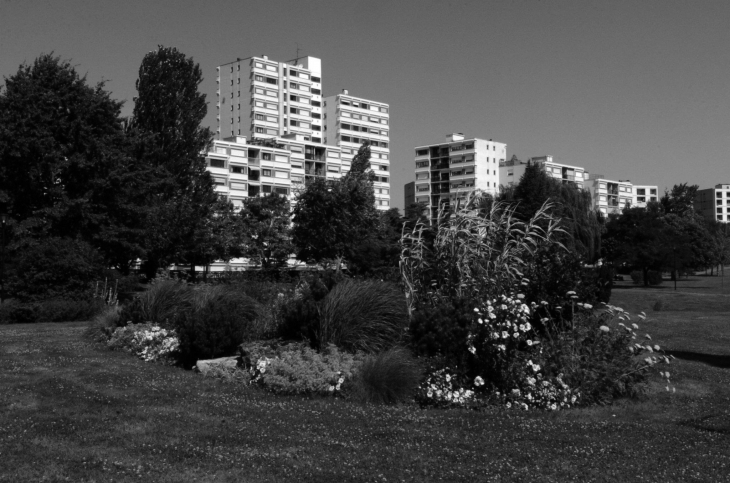 Des fleurs qui poussent dans la ville ? Ou la ville qui pousse au coeur des Fleurs ? - Vandœuvre-lès-Nancy