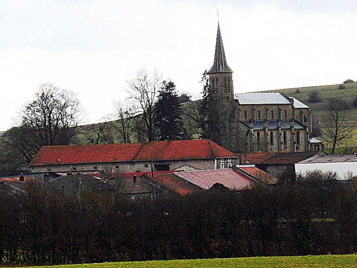 Vue sur le village - Xivry-Circourt