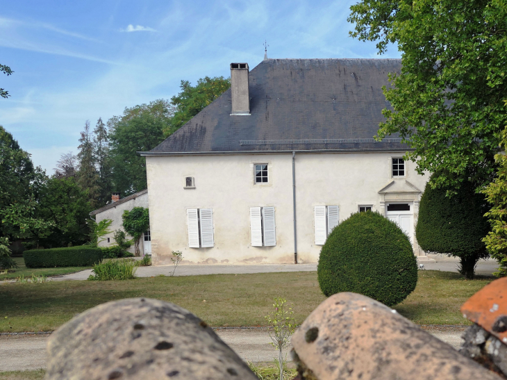 Un aperçu du château dans son parc - Abainville