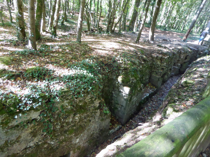 Les tranchées du Bois Brulé - Apremont-la-Forêt