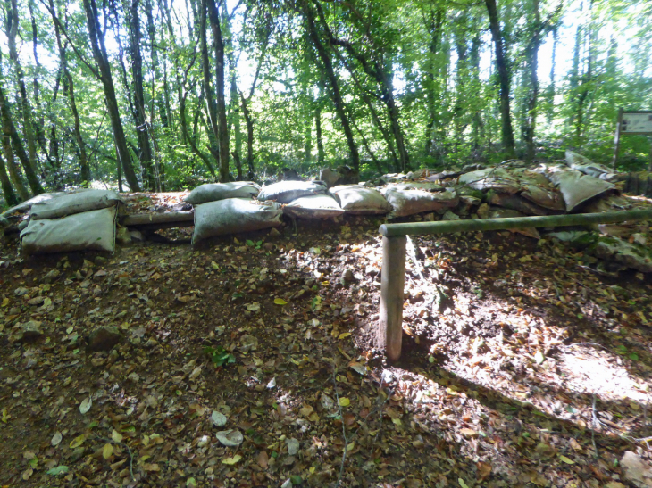 Les tranchées du Bois Brulé - Apremont-la-Forêt