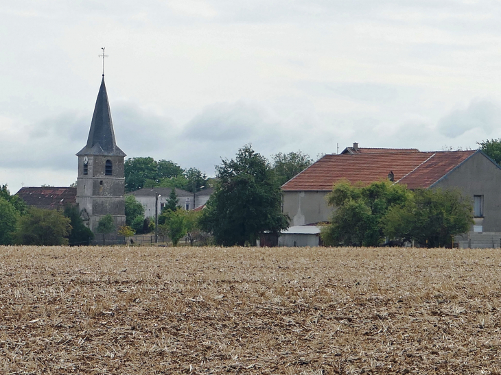 Vue sur Badonvilliers - Badonvilliers-Gérauvilliers