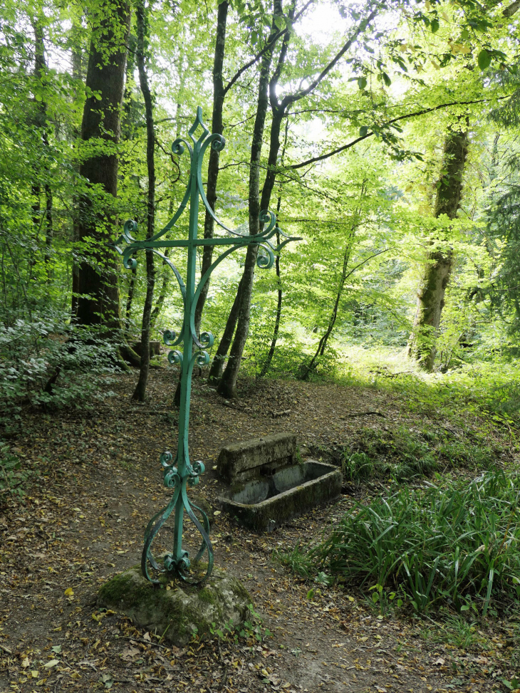 La forêt : cathédrale de Verdure - Beaulieu-en-Argonne