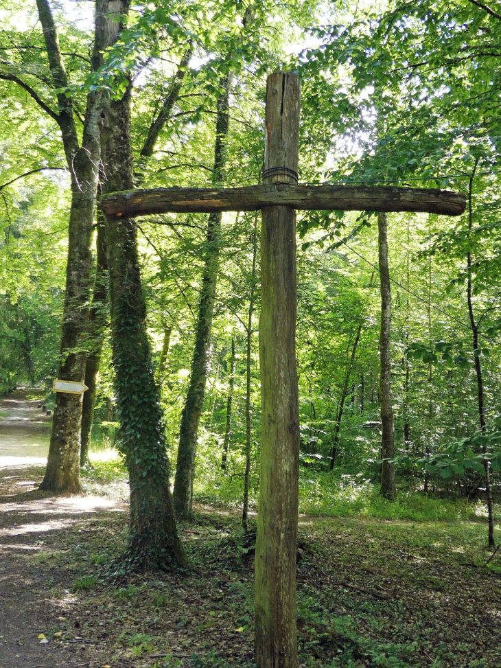 La forêt cathédrale de verdure - Beaulieu-en-Argonne