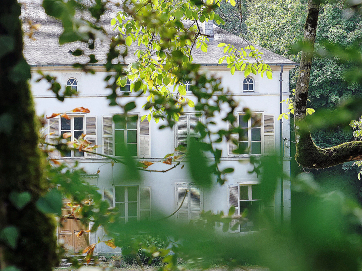 Un aperçu du château dans son parc - Bonnet