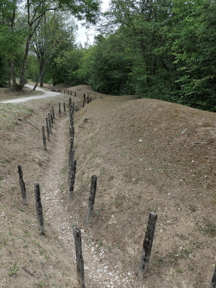 Le boyau de Londres : fossé de communication reliant les tranchées et le fort et permettant le ravitaillement - Douaumont