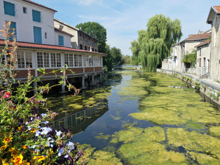 Lles rives de l'Ornain vues du pont - Gondrecourt-le-Château