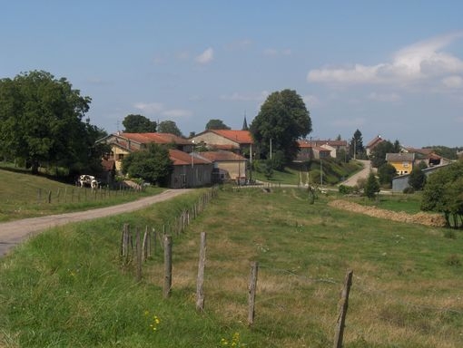 Route de Saint-André - Ippécourt