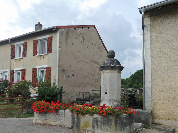 Fontaine - Laneuville-au-Rupt