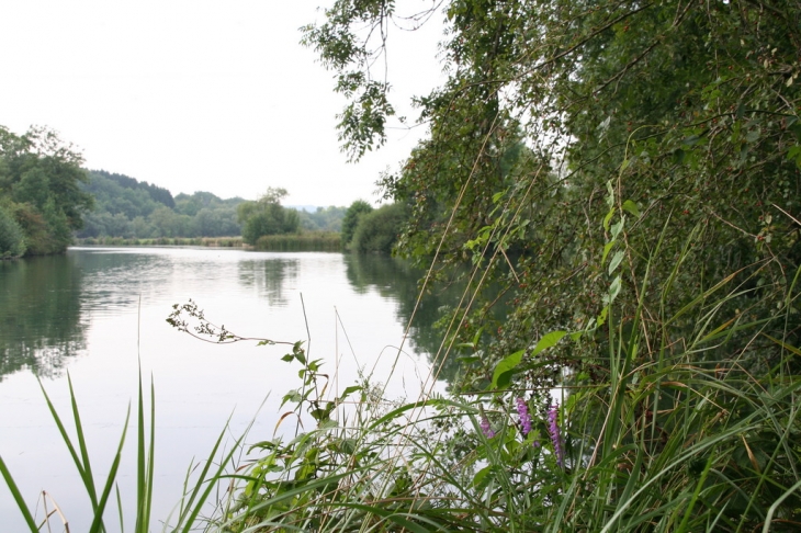 La meuse à Liny - Liny-devant-Dun