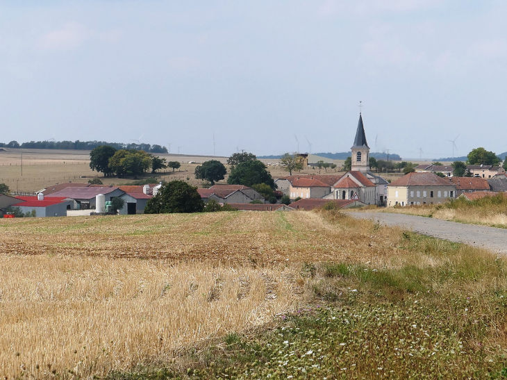 Vue sur le village - Mandres-en-Barrois