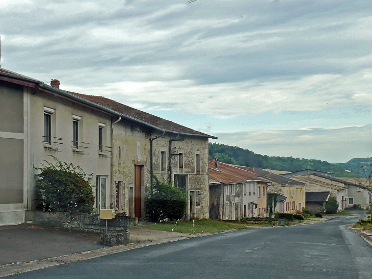 Village lorrain aux maisons alignées précédées d'usoirs - Méligny-le-Petit