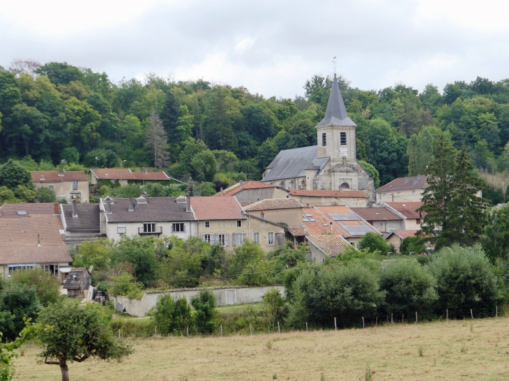 Vue d'ensemble du village - Montigny-lès-Vaucouleurs