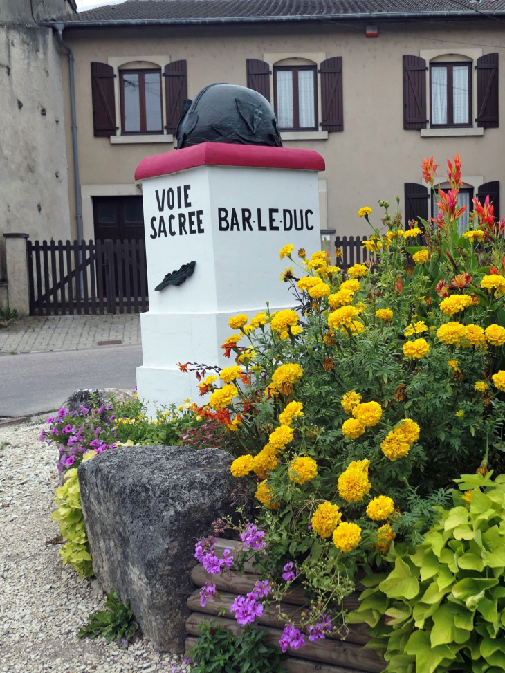 Village sur la Voie Sacrée Bar le Duc- Verdun - Naives-Rosières