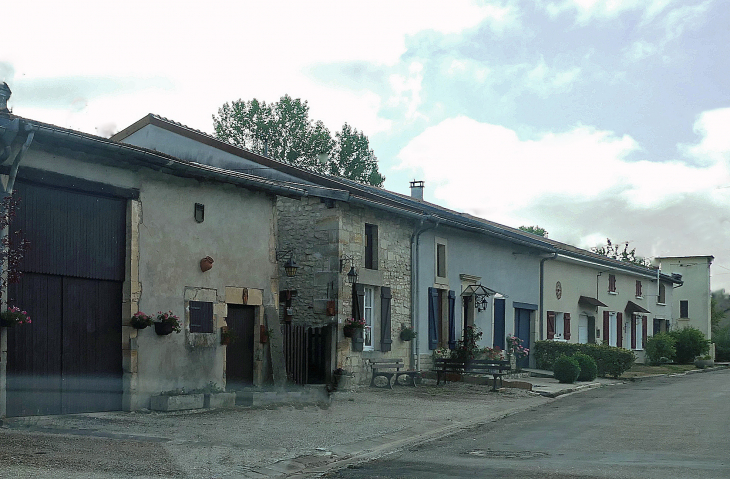 Usoirs d'agrément devant les maisons lorraines alignées - Nubécourt