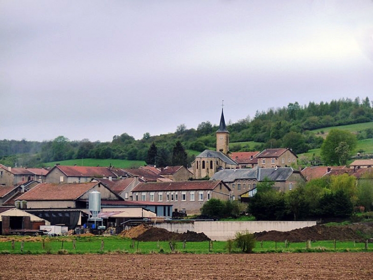 Vue sur le village - Olizy-sur-Chiers