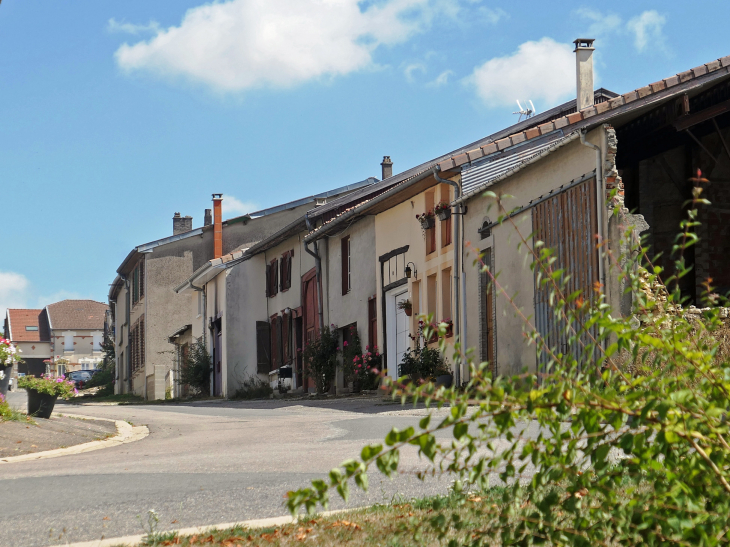 Maisons du village - Rarécourt