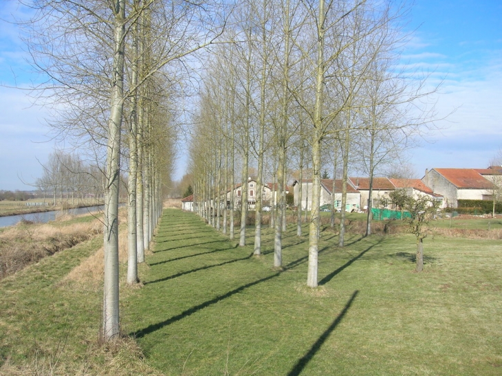 Près du canal - Rouvrois-sur-Meuse