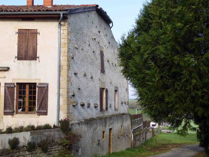 Maison à mur meusien aux pierres saillantes  - Saint-Pierrevillers