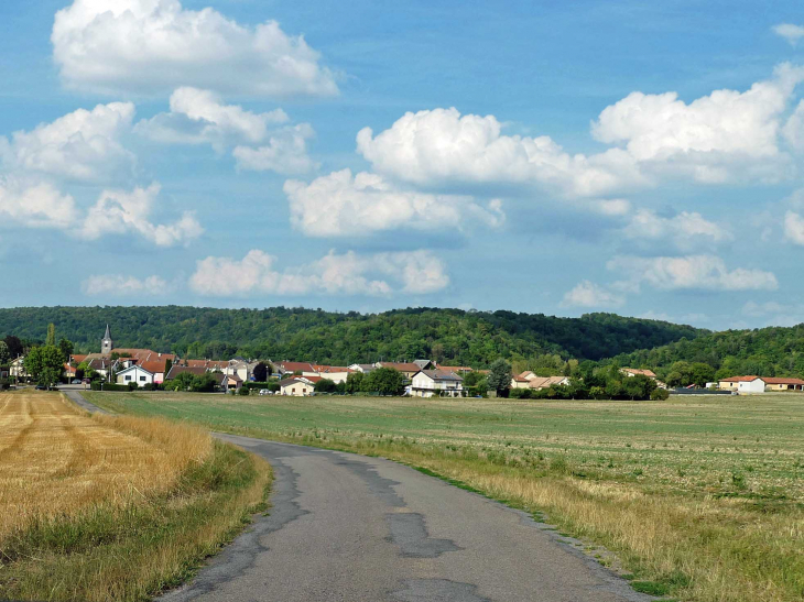 Vue d'ensemble du village - Tréveray