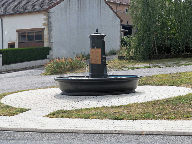 La fontaine dans le village - Vaudeville-le-Haut