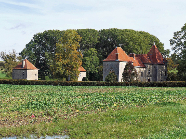 Le château - Ville-en-Woëvre