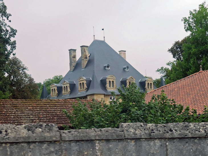 Vue sur le château - Ville-sur-Saulx