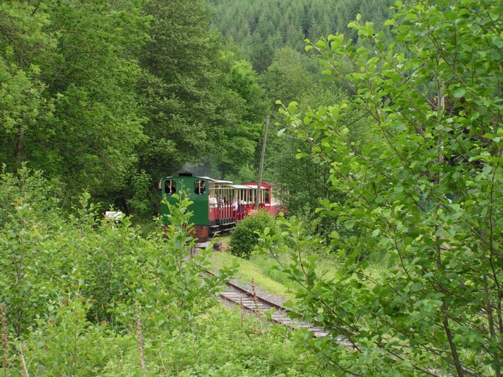 Le train forestier - Abreschviller