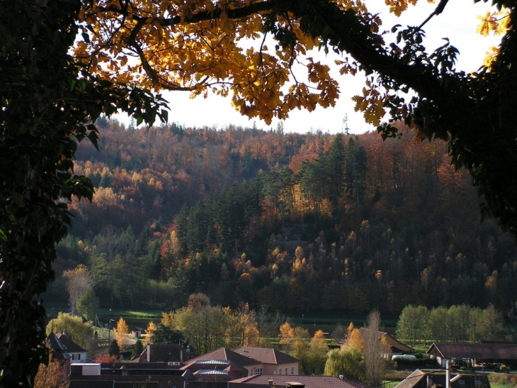 Couleurs automnales autour du plan d'eau - Abreschviller