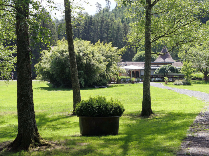 Lettenbourg : derrière l'auberge de la Forêt - Abreschviller