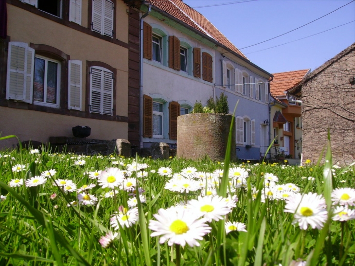 Rue de l'Eglise - Arzviller