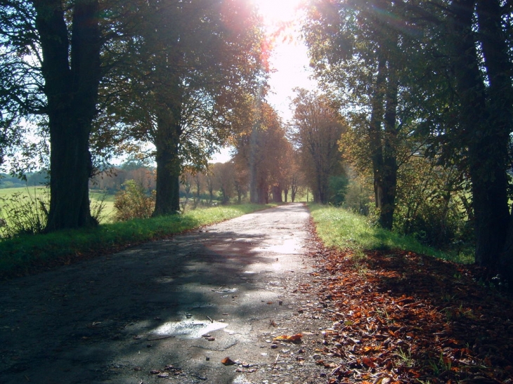 Route du Saint Blaise - Augny