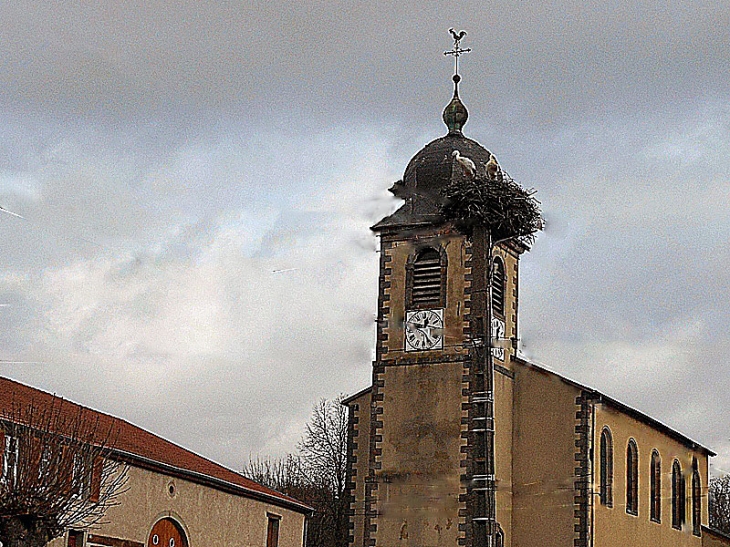 église et nid de cigognes à Bisping - Belles-Forêts