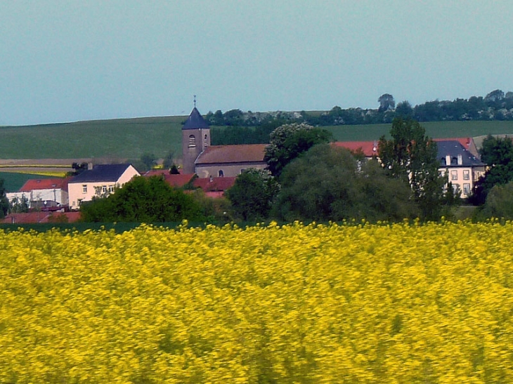 Vue sur le village - Brulange