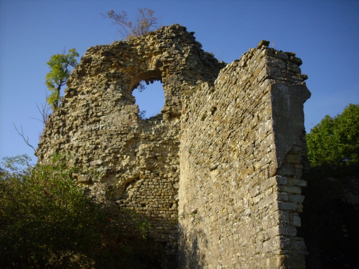 RUINE DU CHATEAU DE VOUE - Château-Voué