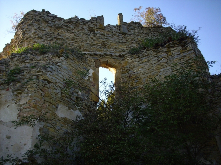 RUINE DU CHATEAU - Château-Voué