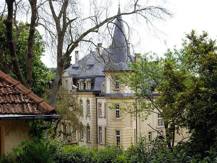 Vue sur le château - Châtel-Saint-Germain