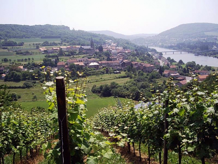 Vue du vignoble - Contz-les-Bains