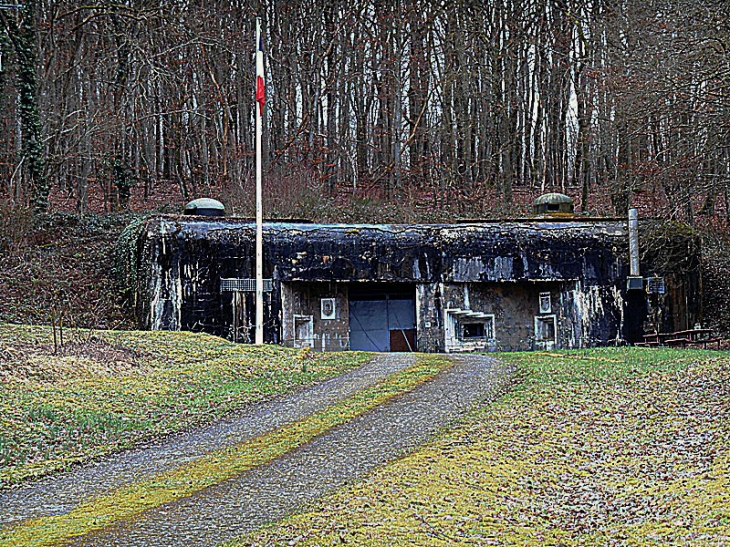 Le fort du Hackenberg - Dalstein