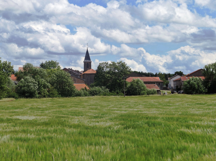 Vue sur le village et l'église - Donjeux