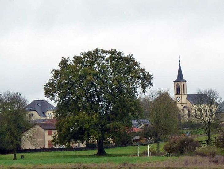 Vue sur le village - Escherange