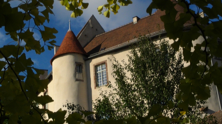 Château - Fénétrange