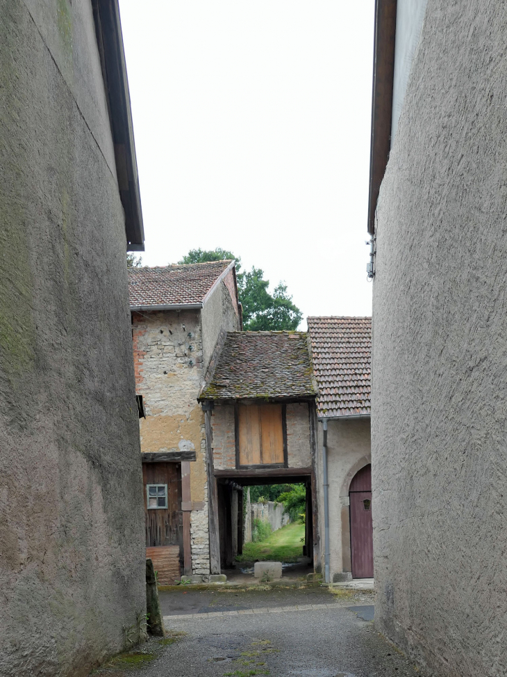 Rue de l'hôtel de ville : venelle vers la campagne - Fénétrange