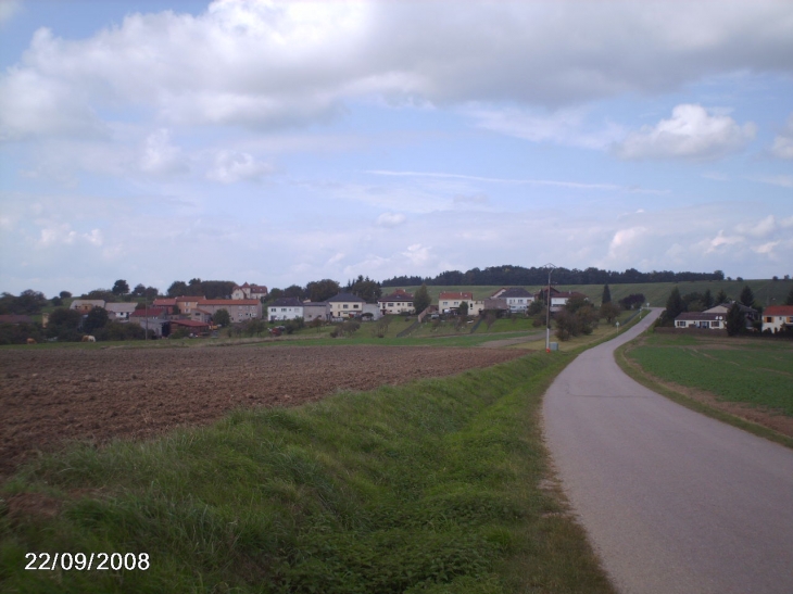 Vue de Beckerholz - Filstroff