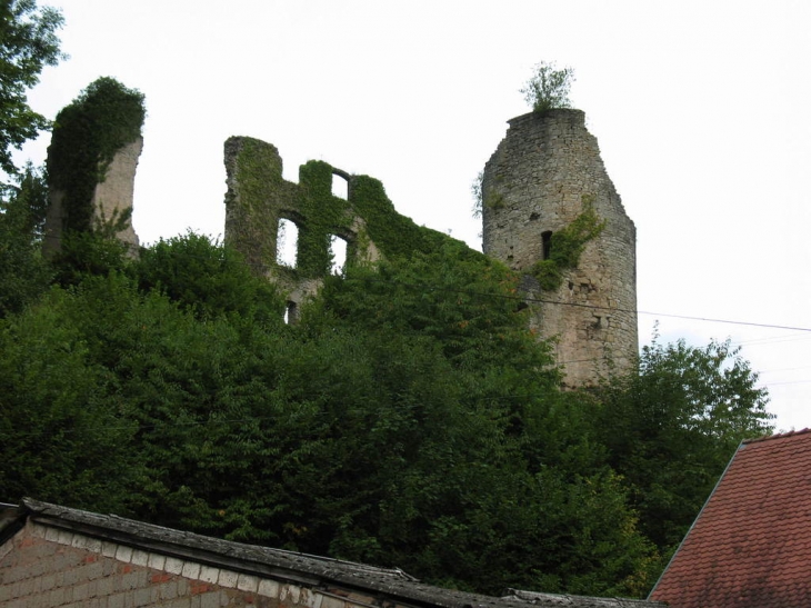 RUINE DU CHATEAUX - Frauenberg