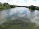 La Moselle naturelle à Hauconcourt