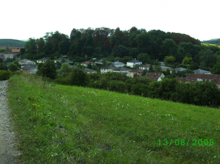 Lotissement du châteaux - Hombourg-Budange