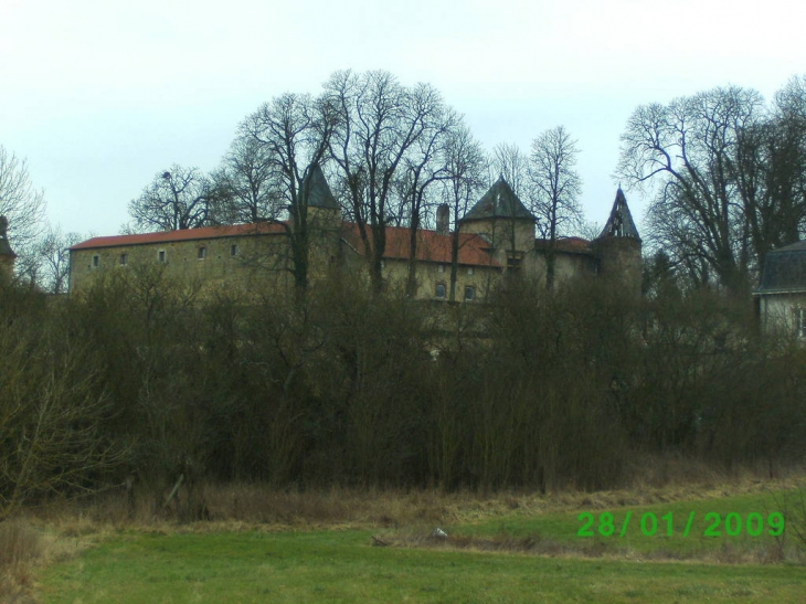 Entrée du châteaux - Hombourg-Budange